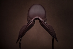 SaddleDSC_6639sm