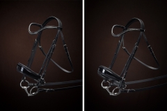 2bridles